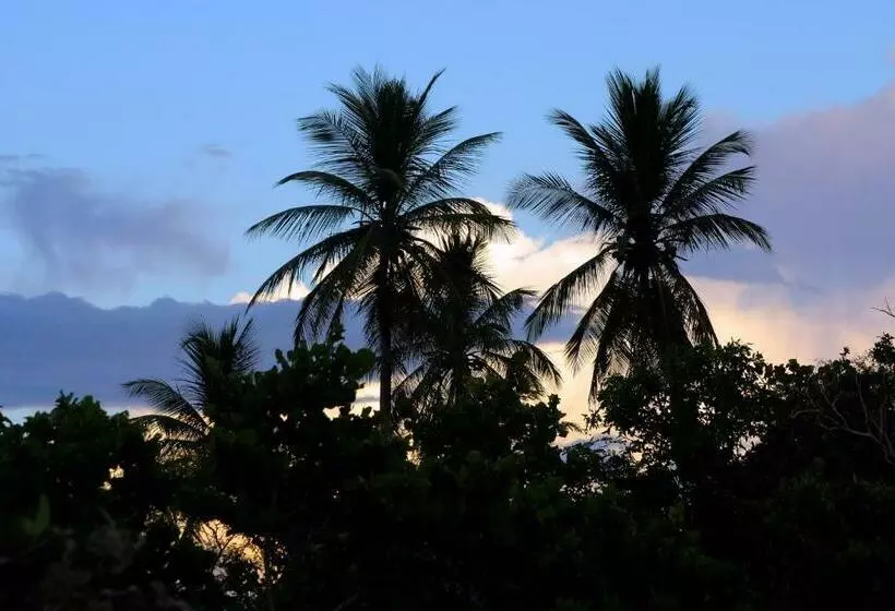 پانسیون Bayahibe Guest House