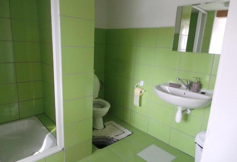 膳宿费 Penzion Tomy Pihlov