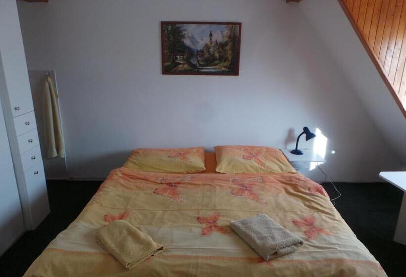 膳宿费 Penzion Tomy Pihlov