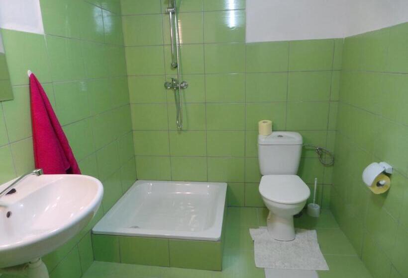 膳宿费 Penzion Tomy Pihlov