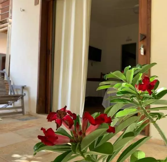 ペンション Pousada Borboleta