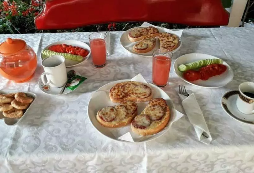 پانسیون Veda Guest House