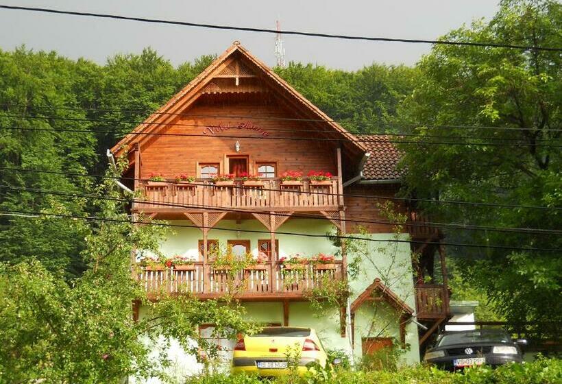 بنسيون Vila Anna