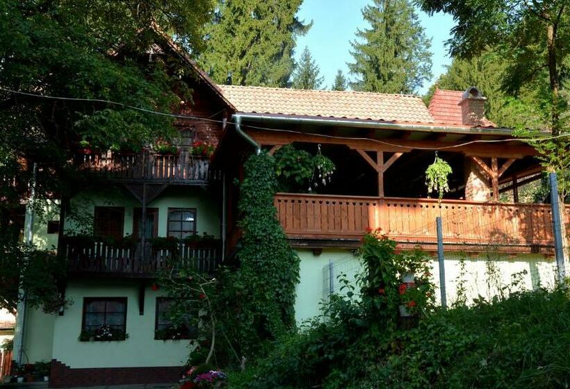 بنسيون Vila Anna