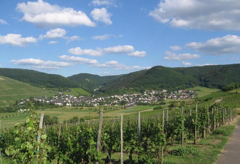 Pension Auf Der Olk Mit Röpertsmühle