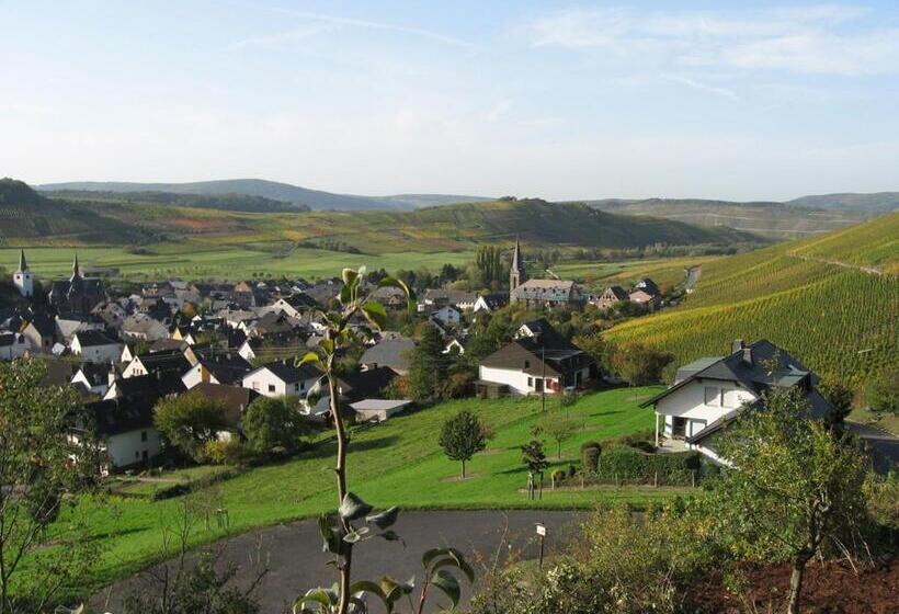 Pension Auf Der Olk Mit Röpertsmühle