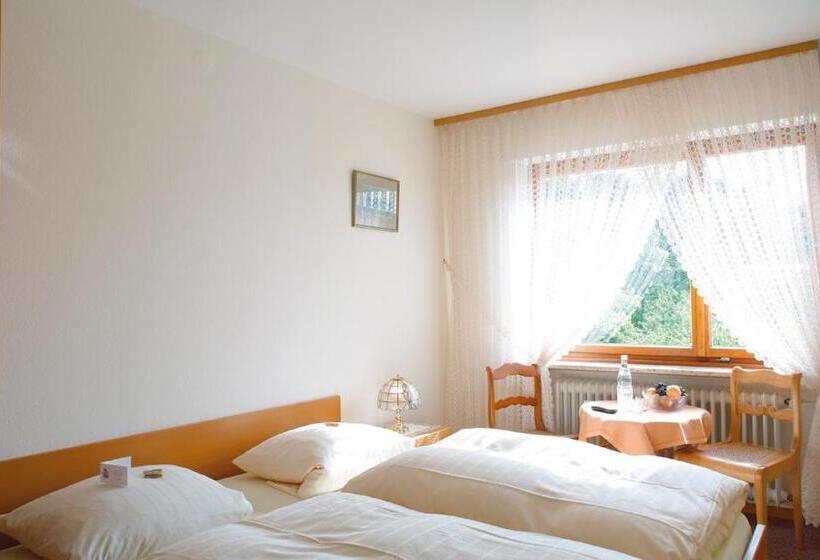 Pension Auf Der Olk Mit Röpertsmühle