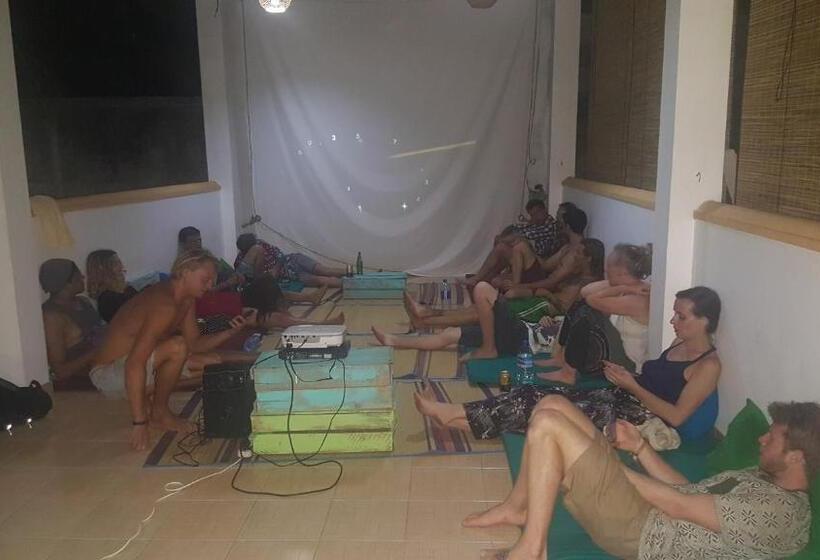 Herberge Surfing Wombats