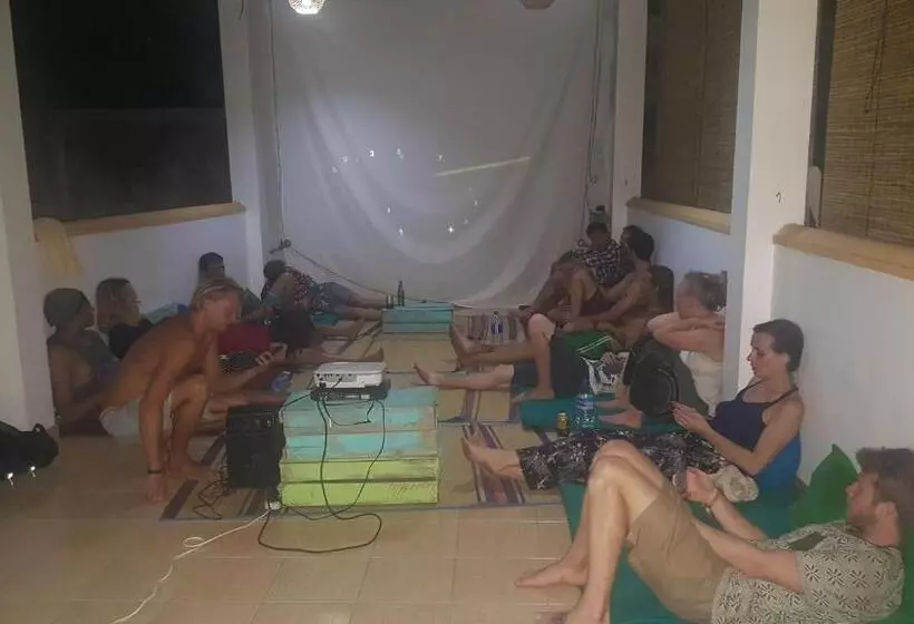 ユースホステル Surfing Wombats