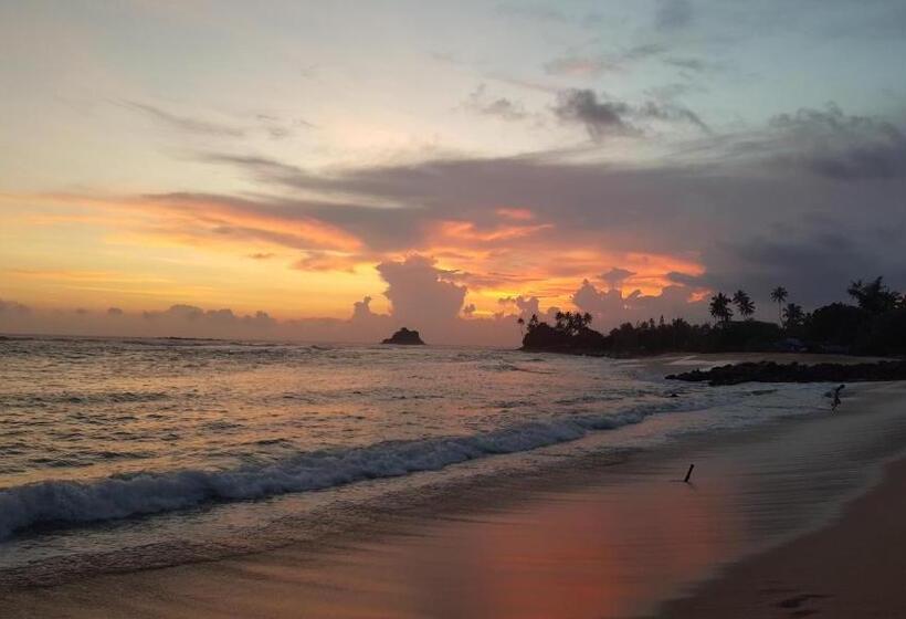 Herberge Surfing Wombats