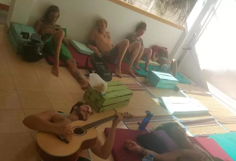 ユースホステル Surfing Wombats