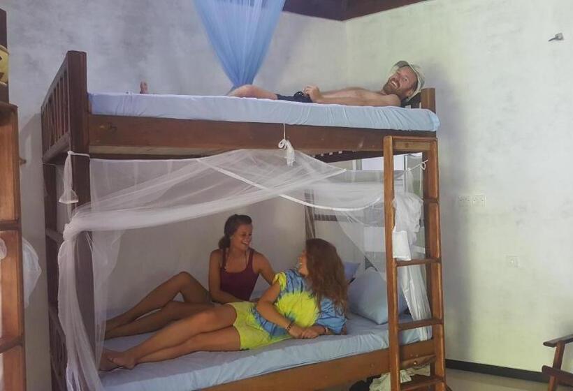 Herberge Surfing Wombats