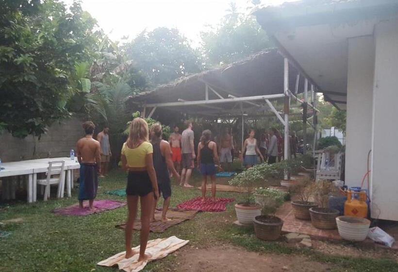 Herberge Surfing Wombats