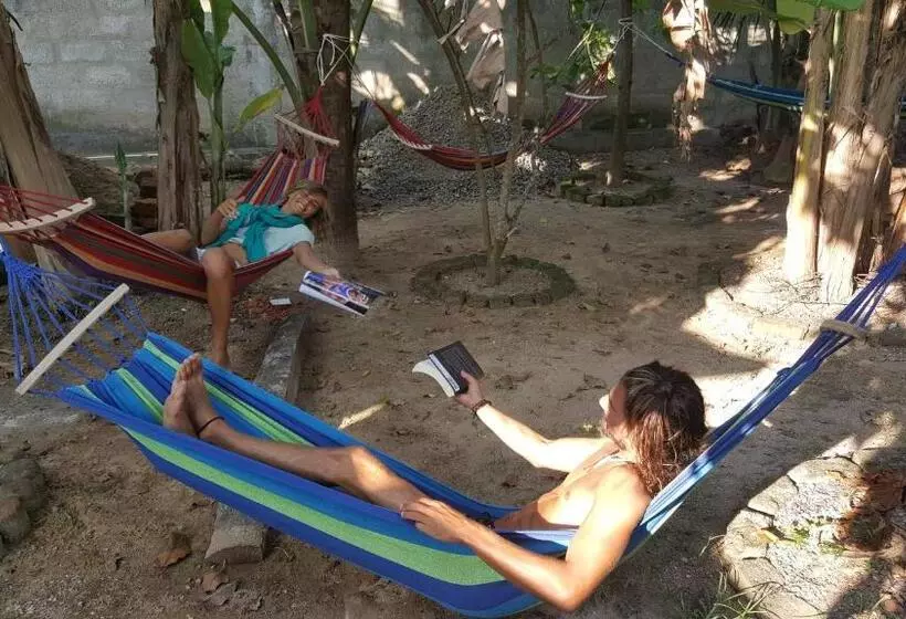 ユースホステル Surfing Wombats