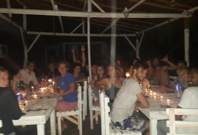 Herberge Surfing Wombats