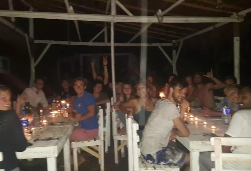 ユースホステル Surfing Wombats