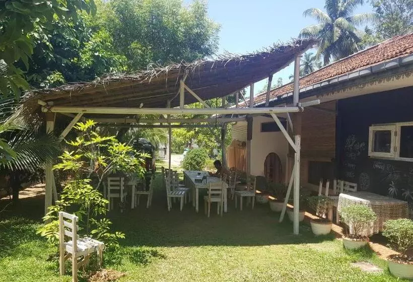 ユースホステル Surfing Wombats