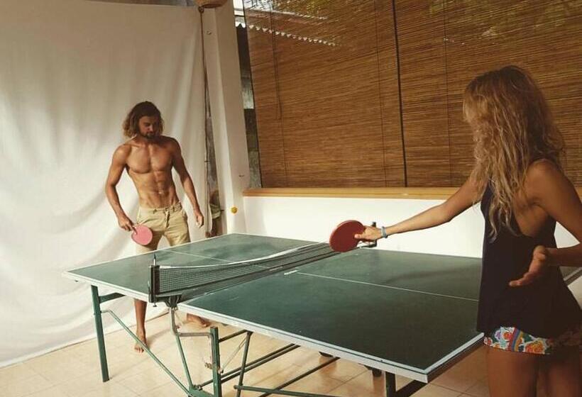 Herberge Surfing Wombats