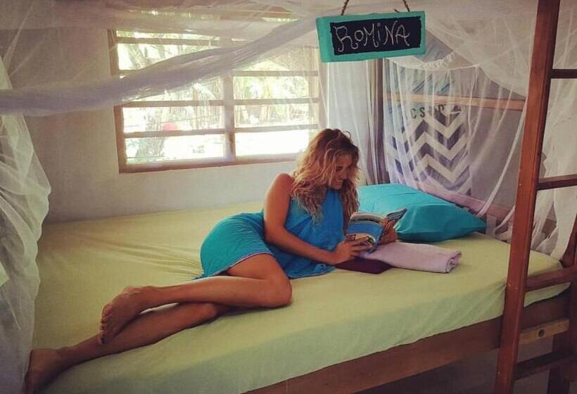 Herberge Surfing Wombats