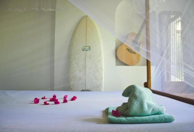 Herberge Surfing Wombats