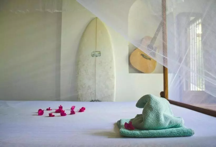 ユースホステル Surfing Wombats