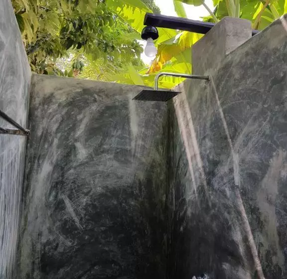 ユースホステル Surfing Wombats