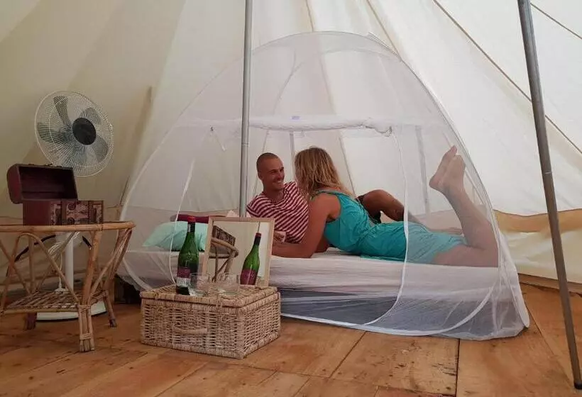 ユースホステル Surfing Wombats