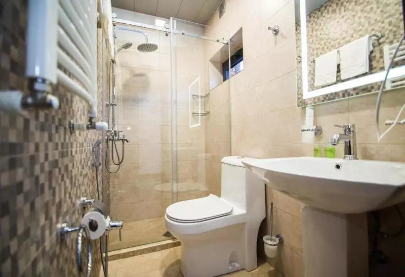 ホテル Milano Palace Borjomi