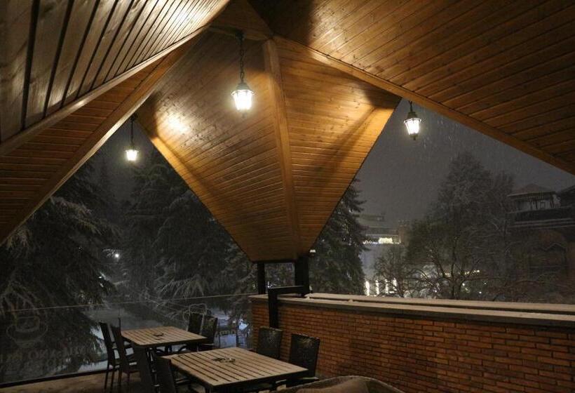 酒店 Milano Palace Borjomi