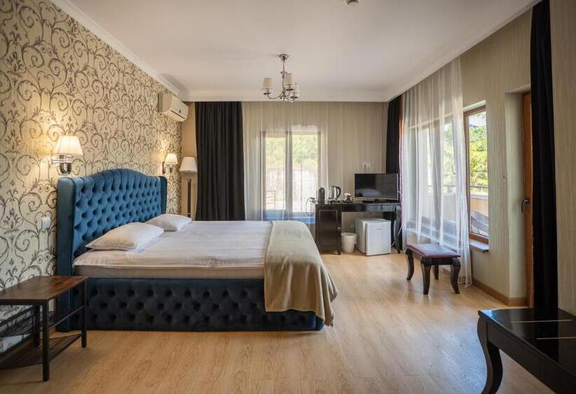 بنسيون Opus View