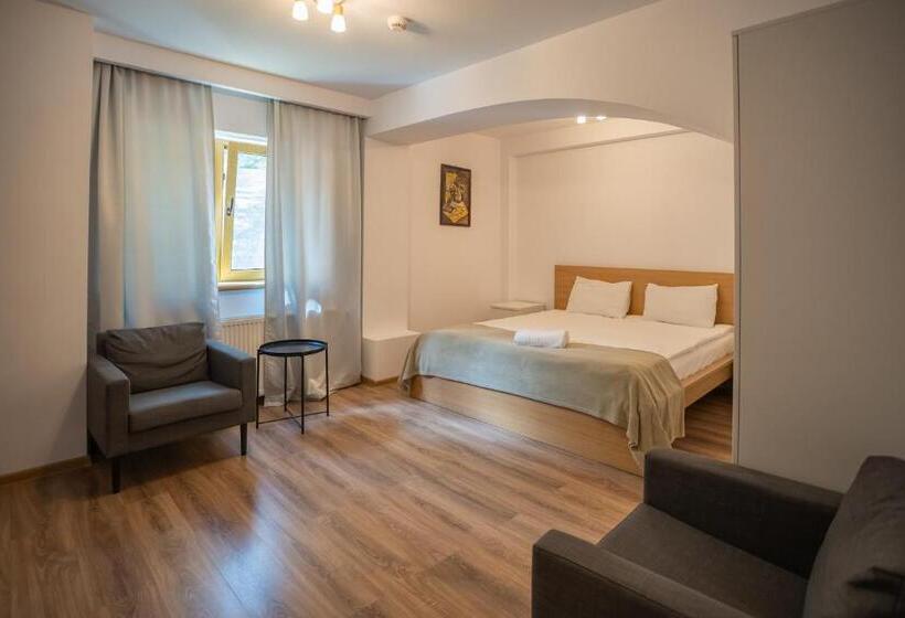 بنسيون Opus View