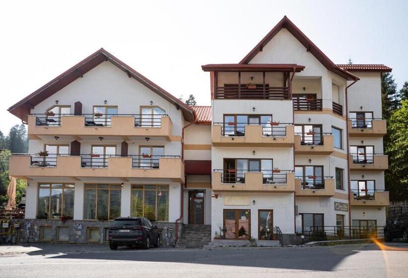 بنسيون Opus View