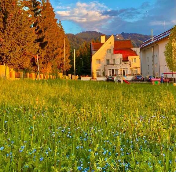 膳宿费 Vila Diana   Poiana Brasov