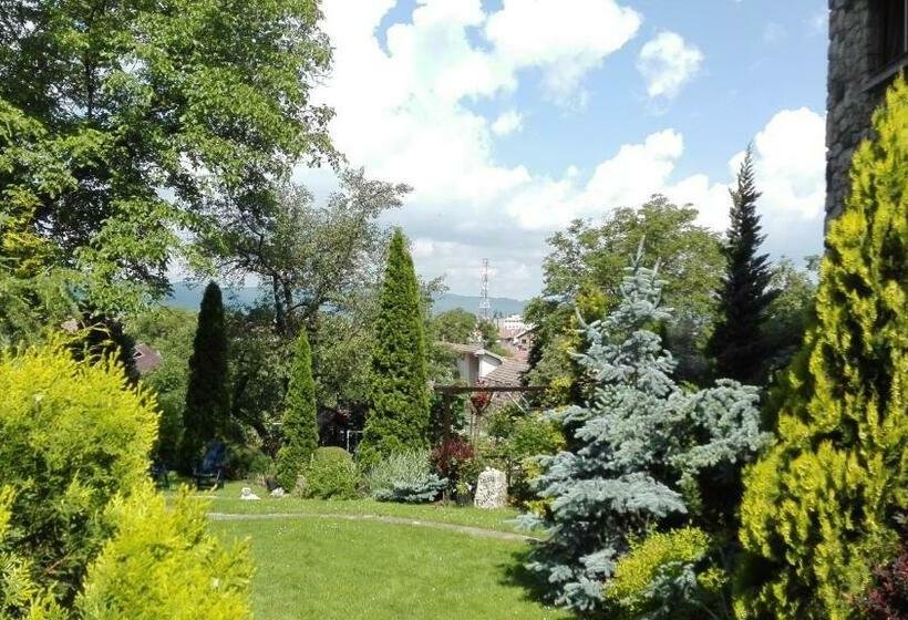 Pension Casa Contelui