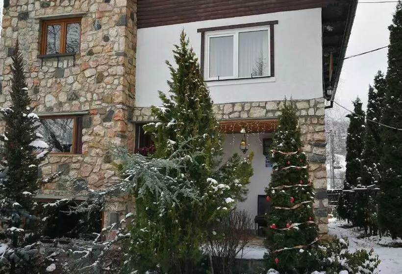 Pension Casa Contelui