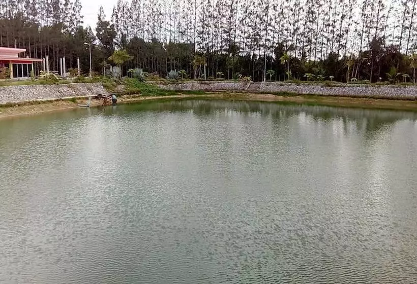 Suratthani Airport Resort