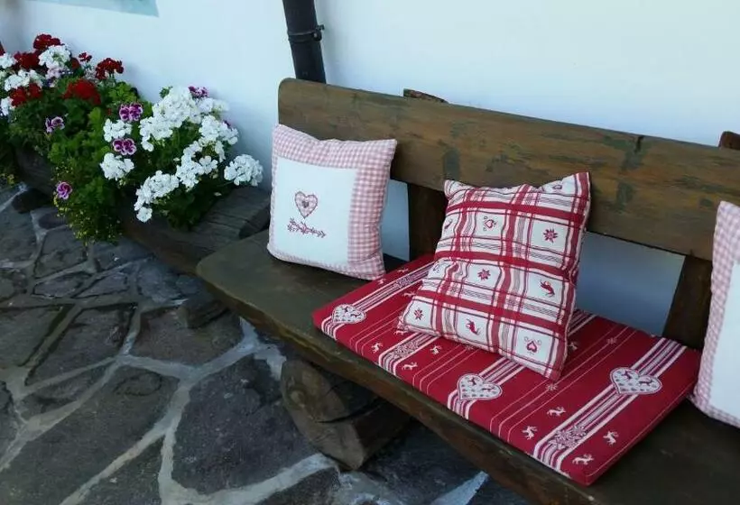 B&b Ciasa Weber