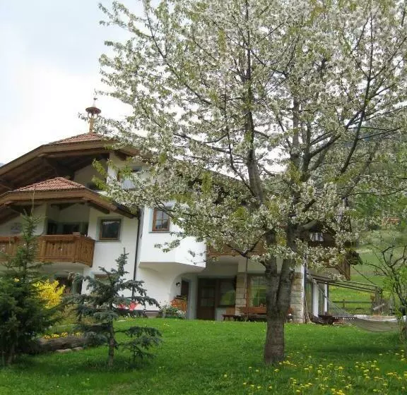 B&b Ciasa Weber