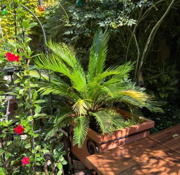 Bed And Breakfast Caffe Caffe