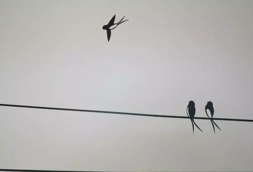 ベッドアンドブレックファースト La Ferme De Maraval