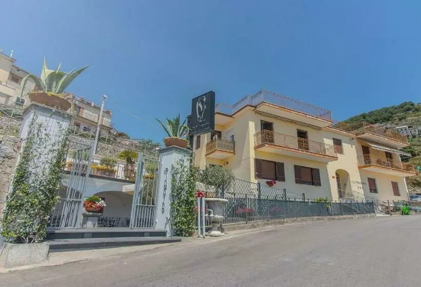 Pinguino B&b