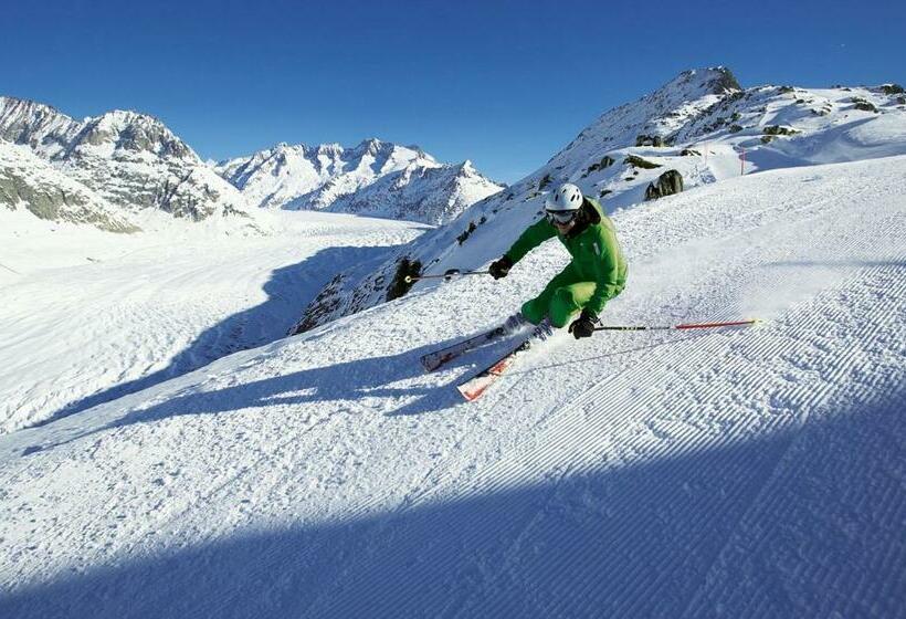 בית מלון כפרי Alpina