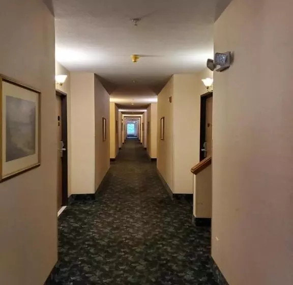 ホテル Bellis Inn