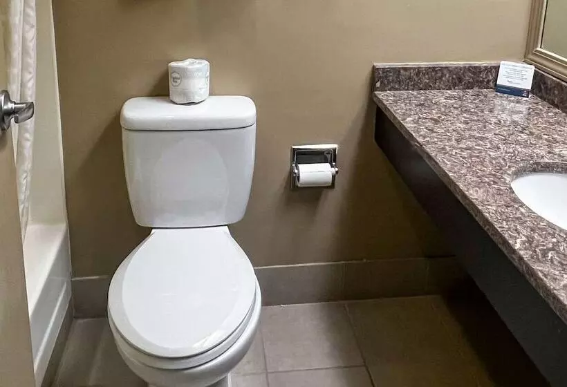 Clarion Hotel & Suites