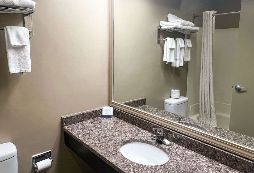 Clarion Hotel & Suites