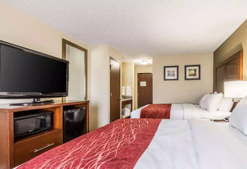 ホテル Comfort Inn Norwalk Sandusky