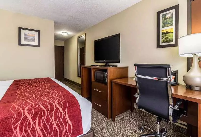 ホテル Comfort Inn Norwalk Sandusky