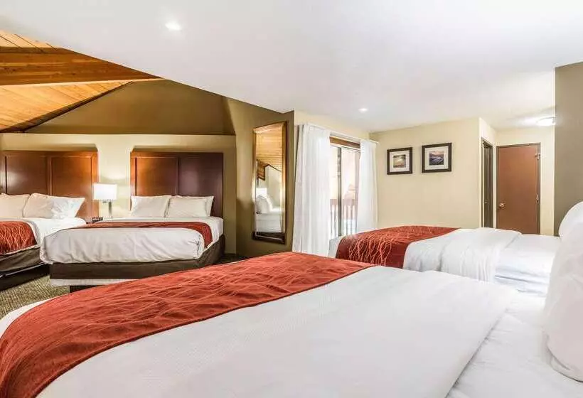 ホテル Comfort Inn Norwalk Sandusky