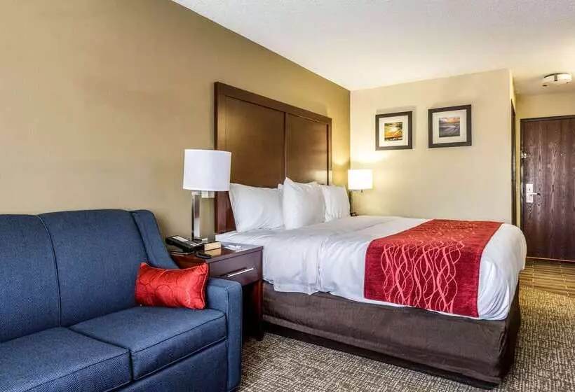 ホテル Comfort Inn Norwalk Sandusky