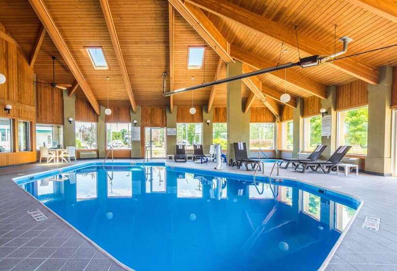 Отель Comfort Inn Norwalk  Sandusky